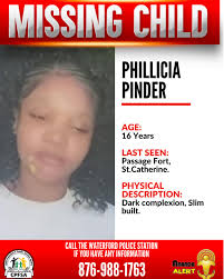 Child Protection and Family Services Agency