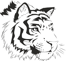 Black And White Vector Sticker Tiger Stencil Sticker Free Vector Cdr Download 3axis Co Tiger Stencil Tiger Images Tiger Art
