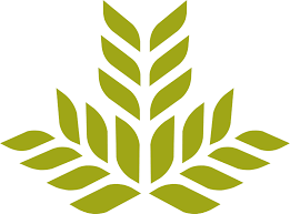 Holly Corley, MD, Joins Northeast Georgia Physicians Group Hamilton Mill