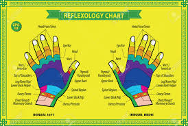 Hand Reflexology Chart With Accurate Description Of The Corresponding