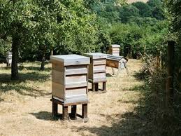 Bienenstocke Im Obstgarten Holzkisten Mit Einem Kleinen Ausflugsloch Dienen Als Bienenstock Im Garten Form Und F Bienenzucht Im Garten Bienen Gartenmobel Sets
