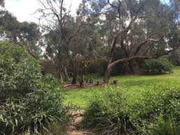 Sweetwater creek state park is one of the best state parks near atlanta. Great Views And Bushland Review Of Upper Sweetwater Creek Reserve Frankston Australia Tripadvisor