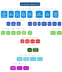 Organization Chart New Quantum Holdings Pte Ltdnew Quantum