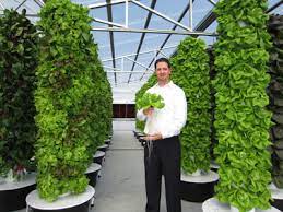 It will grow anything that doesn't require soil like potatoes carrots. Tim Blank Follows Passion To Bring Vertical Farming To Everyone The Tower Garden