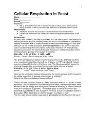 Glycolysis and cellular respiration chapter 8 overview of glucose breakdown the overall equation for the complete breakdown of glucose is: Cellular Respiration In Yeast Doc