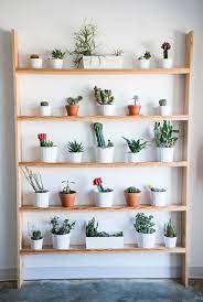 บาคาร า เกมคาส โน สล อต รวมเกม casino ท ด และม นคงท ส ด kitchen plants house plants decor indoor plant wall