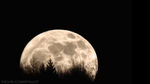 Search, discover and share your favorite full moon gifs animation online. Full Moon Gif 12 Gif Images Download