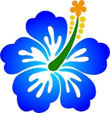 Download Transparent Hawaiian Flowers Png Clip Art Hawaiian Flower 5768097 Pinclipart