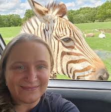 Chickens attacked by black birds, first aid for eye injury