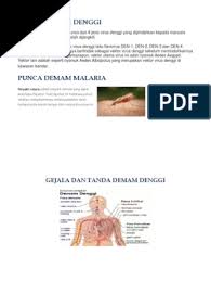  virus denggi dipindahkan kepada manusia melalui gigitan nyamuk aedes yang membawa virus denggi. Punca Demam Denggi