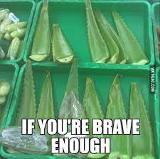 Di musim kemarau seperti ini,kita sering kali rentan terkena gangguan pada tenggorokan. It S Literally Called Lidah Buaya Dragon S Tongue In English 9gag