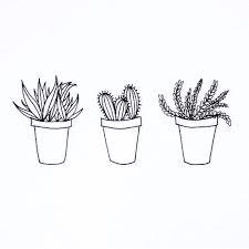Included are full color and black and white pictures, and also a venus fly trap! Related Image Plant Doodle Plant Drawing Tumblr Outline