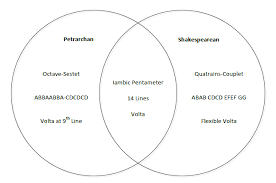 what are the differences and similarities between the