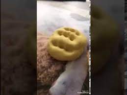 Bilou einhorn schleim diy selber machen ohne waschmittel. Diy Fluffy Slime Aus Mehl Youtube