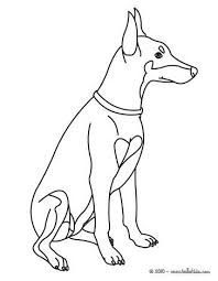 Doberman Coloring Page Nice Dog Drawing For Kids Looking For More Go To Hellokids Com Dog Drawing For Kids Cute Dog Drawing Dog Coloring Page
