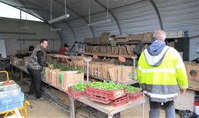 Les Jardins Du Girou D Une Association A Une Scic Le Petit Journal