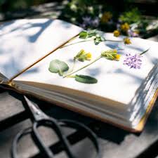 Preserving flower petals by drying them in books is called pressing. How To Preserve Flowers By Drying Pressing And More Hgtv