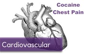 Acute management of paroxysmal supraventricular tachycardia (psvt) includes controlling the rate and preventing hemodynamic collapse. Treatment Of Psvt A Case For Calcium Channel Blockers Nuem Blog