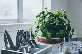 Nos coups de coeur sur les routes de france. Kitchen Trends In 2021 The 5 Best New Kitchen Ideas