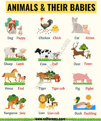 List Of Animals A Big Lesson Of Animal Names With The Pictures 1 English Lessons For Kids Learning English For Kids English Writing Skills