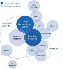 Autism spectrum, also known as autism spectrum disorder (asd) or autism spectrum condition (asc), is a range of neurodevelopmental disorders that includes. Autism Spectrum Disorder Alabama Psychological Services Center Llc