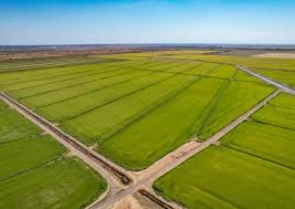 California Land for Sale - 31,632 Listings | LandWatch