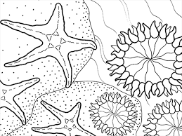 Ocean is home to many creatures on earth. Aquatic Coloring Pages Coyar