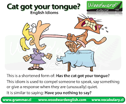 You can ask them, cat got your tongue? and then you can maybe get an explanation from them or a reason why they're being quiet. Cat Got Your Tongue Woodward English