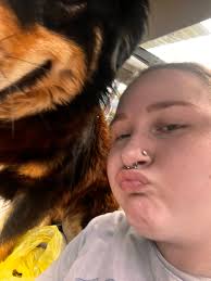 Lost german shepherd mix in Camden Arkansas