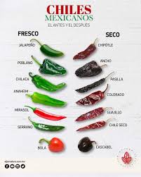 Til Mexican Chillies Have Different Names Depending On Whether They Are Fresh Or Dried Mexican Food Recipes Mexican Food Recipes Authentic Stuffed Peppers