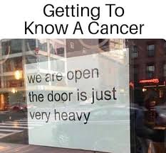 Read on to learn all about the cancer sign, including key cancer traits, how crabs behave in different kinds. Cancer Memes 1 Follow Me On Instagram Apathiquexindecise Chloeptlle Follow Me On Twitter Pradadisaster