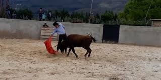 Franco Salcedo - Pagina Oficial