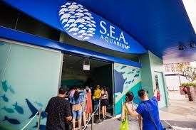 7 Things You Can T Miss At Sentosa Island Singapore S Resort Island Singapore Resorts Sentosa Island Singapore Singapore