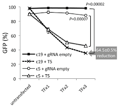 Hiv Treatment Crispr Cas9