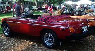 Image result for Carmine 1980 MG