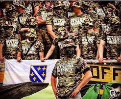 Dynamo dresden logo zum ausdrucken. Videos Krieg Dem Dfb Dynamo Fans In Karlsruhe Faszination Fankurve