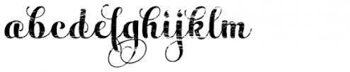 This is ardilla, a new fresh & modern script with calligraphy style. Ardilla Font What Font Is