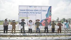 Kontrak pembangunannya ditandatangani pada tanggal 10 agustus 1964, dan mulai berlaku pada tanggal 8. Loker Rs Petrokimia Gresik 2020 Lowongan Petrokimia Cute766