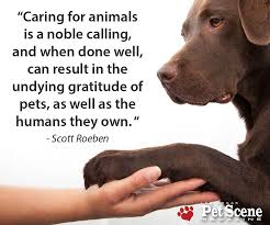 Mutual Gratitude We Care For Them Yet They Give Us So Much More In Return Petquotes Animal Quotes Inspirational Pets Pets