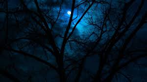 74 top dark backgrounds , carefully selected images for you that start with d letter. Beautiful Dark Wallpapers 4k Hd Beautiful Dark Backgrounds On Wallpaperbat