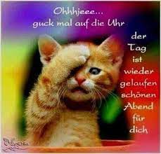 Check spelling or type a new query. Fussels Guten Abend Und Gute Nacht Photos Facebook