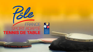 Les championnats de france de tennis de table handisport élite se sont terminés hier dans l'enceinte du gymnase joel bommersheim. Pole France Tennis De Table Sport Adapte Youtube