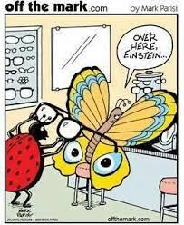Butterfly Eyes Eye Jokes Optometry Humor Cartoons 1999