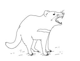 Coloring books enable you to educate your kids in a funny way, which implies that your baby would not get tired of study. Tasmanian Devil Coloring Page By Mama Draw It Teachers Pay Teachers