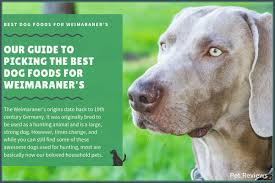 11 Best Highest Quality Dog Foods For Weimaraners In 2019