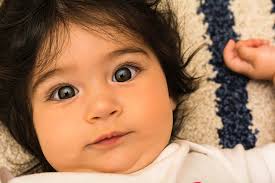 Scott Hamelin Photography