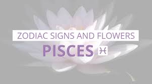 Zodiac Signs And Flowers Pisces Pngtree offers zodiac signs png and vector images, as well as transparant background zodiac signs clipart images and psd files.
