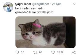 Yesinlerr Senii 2020 Komik Seyler Komik Komik Capsler