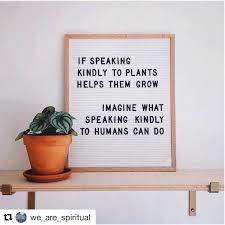 421 kakashi hatake hd wallpapers and background images. 180 Work Whiteboard Ideas Funny Quotes Bones Funny Message Board Quotes