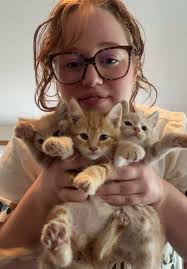 Embracing Foster Fail: The Joy of Keeping Kittens